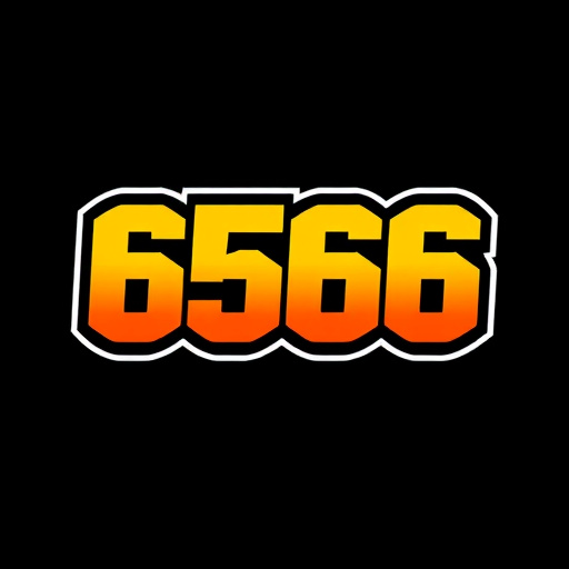 6566